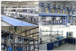 高效管理，助力成長——?dú)g迎探索企業(yè)管理咨詢的專業(yè)價(jià)值